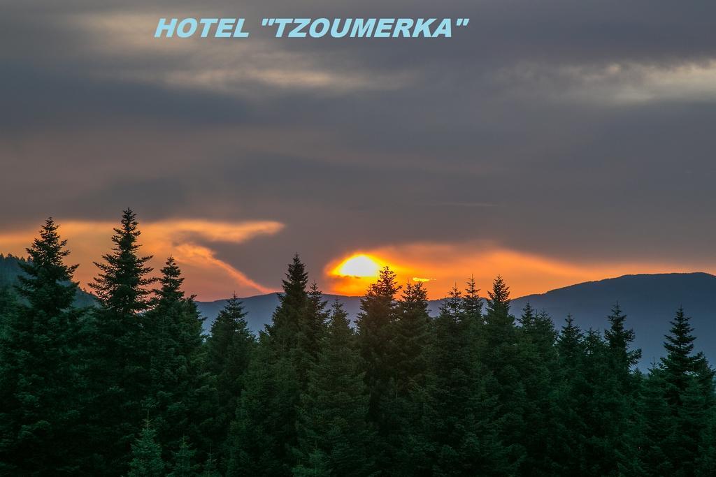 Hotel Tzoumerka Pramanta Extérieur photo